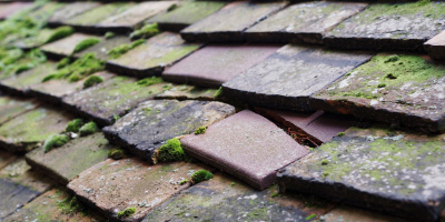 Oldcastle roof repair costs